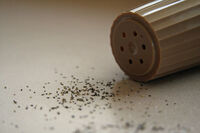 Ground black pepper and a plastic pepper shaker