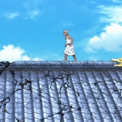 250?cb=20240625153946