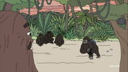 Kei-Ko heads off with a family of gorillas.