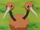 Doduo