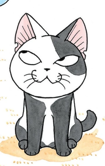 Cocchi | Chi's Sweet Wiki | Fandom