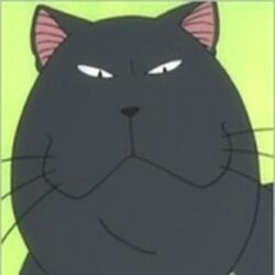 Category Characters Chi S Sweet Home Wiki Fandom