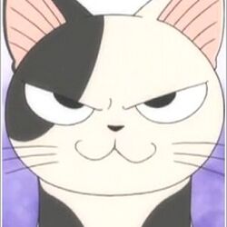 Category Characters Chi S Sweet Home Wiki Fandom