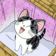 Chi Yamada Chi S Sweet Home Wiki Fandom