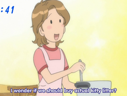 Mr Mrs Yamada Chi S Sweet Home Wiki Fandom