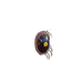 Spider eyes small.png