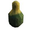 Squash (2)