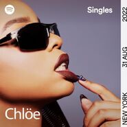 SPOTIFY SINGLES