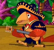 Parrot Mariachi Band Member