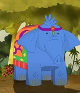 Missy's Male Elephant Friend