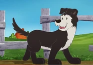 Freddie the Dog.jpg (80 KB) Freddie the Dog