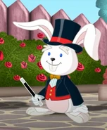 Bunny Magician