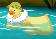 Lovely Carrot Forest Photo Fun.jpg (59 KB) Lovely Carrot in his wildlife photographer costume with an additional duck floatie (Forest Photo Fun)