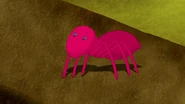 Ant