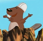 Head Beaver Construction Worker