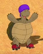 Tortoise