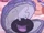 Clam