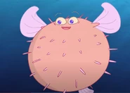 Pufferfish.jpg (62 KB) Pufferfish