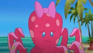 Olga Octopus