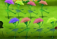 Dancing Flowers
