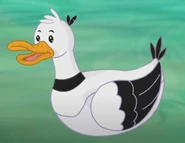 Father Duck 2.jpg (39 KB) Father Duck 2