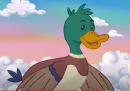 Junior the Duck