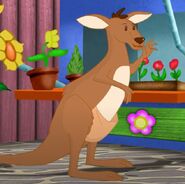 K is for kangaroo