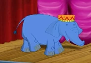 The Elegant Elephants Leader