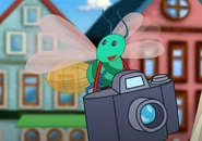 Firefly Photographer