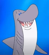 Male Shark