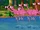 Flamingoes