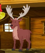 Reindeer