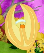 Lovely Carrot Budding Ballerinas.jpg (25 KB) lovely Carrot in a white sweatband (Budding Ballerinas)