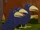 Blackbirds