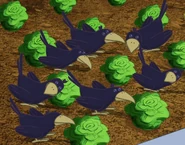 Crows.jpg (191 KB) Crows