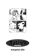 Chapter 65