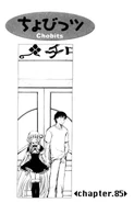 Chapter 85