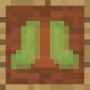 SlimeBoots.png