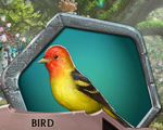 BOLAS3 Ch01 Bird