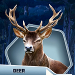 BaBuCh03 Deer