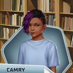 TPOF Camry