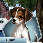 WEHCh01 Puppy