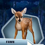 BaBuCh03 Fawn