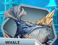 OR Ch07 Whale