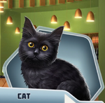 WEHCh07 Cat