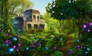 Jungle