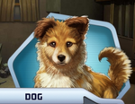 MWCh07 Dog