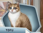 MAH Ch16 Tofu