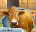 UB Ch3 Sheila