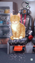 HOF Ch05 Kitten FV